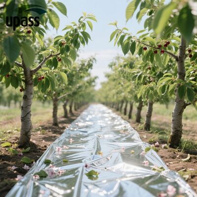 Highly Reflective Agricultural PET Mylar Film Plastic Metallised Blow Molding for Laminating Foam Material for Mulching