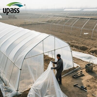 Transparent Polythene Anti-UV Greenhouse Plastic Film Roll Agriculture Greenhouse Film with  PE Custom Cutting Service