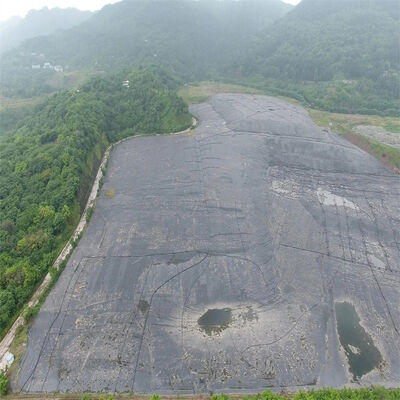 수영장, 호수, 강, 농업, 댐, 매립지, 양식장 탱크 성형용 HDPE 지오멤브레인 라이너 방수 플라스틱 필름